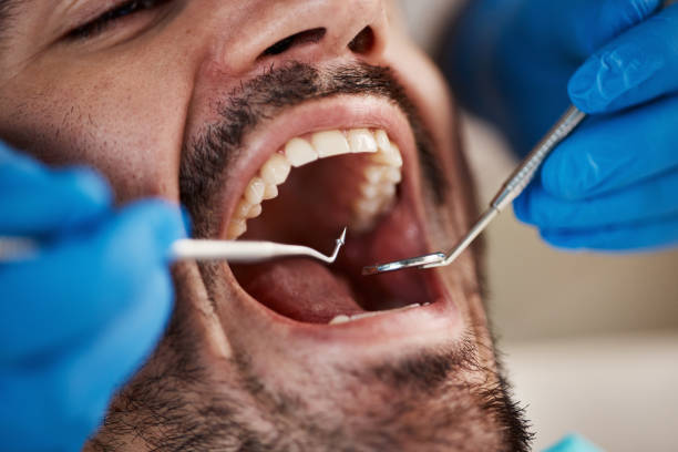 Best Emergency Dental Services for Seniors in Green Knoll, NJ